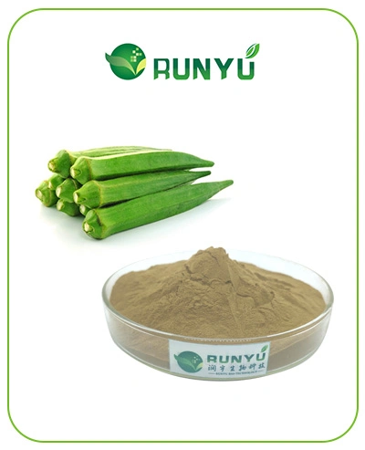 Factory Supply Best Price Natural Okra Extract Powder 30: 1