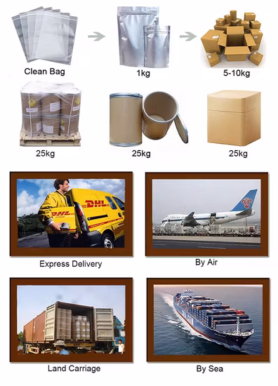 パパイヤエキスパパインパウダー