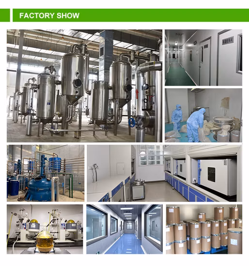 Comext メーカー食品グレード工場直接消化を改善するためのマルターゼ粉末酵素